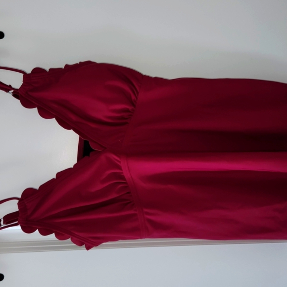 Elegant Burgundy Dress